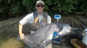 House bill would ban commercial catfishing to preserve trophy population in lower Ohio River