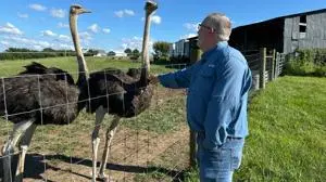 A Kentucky man with a meat allergy was craving a burger. So he got into ostrich farming