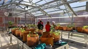 Kentucky School for the Blind opens accessible greenhouse