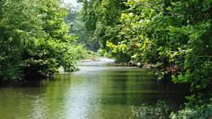 Water resource grants available
