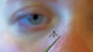 State health department warns of increase in West Nile Virus, La Crosse virus