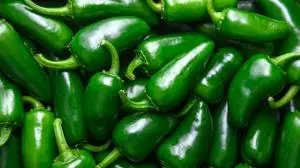 Authorities continue investigating multistate Salmonella outbreak linked to jalapeño peppers