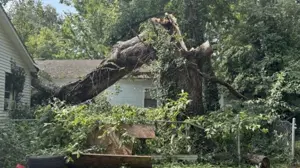 'You could hear the roaring' — Mayfield residents wake to widespread storm damage