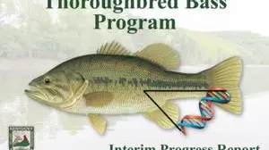 Kentucky Fish and Wildlife finds genes linked to bigger largemouth bass