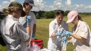UK research students studying ticks
