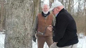 Maple Syrup Month highlights Kentucky's many producers