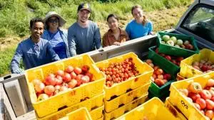 UK improving fruits and vegetables