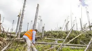 Conservation bill lauded by Southern Group of State Foresters