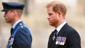 Prince Harry risks 'lobbing a grenade' at Prince William as chance to heal yearslong feud emerges: expert