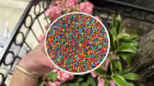 Lines wrap around block as customers wait hours for viral dot cakes that sell out within minutes