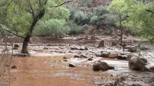 Urgent search underway for more than a dozen people after Grand Canyon flash flood