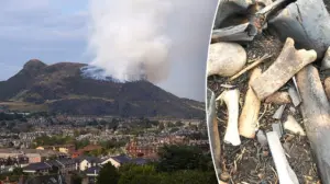 Mysterious pile of bones discovered near popular landmark triggers urgent investigation