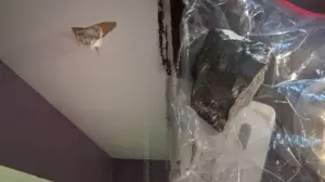 Woman claims space rock smashed into house after Houston-area blast rattles residents