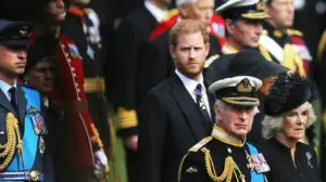 King Charles hopes to reunite with Prince Harry, but Queen Camilla is drawing one firm line: experts