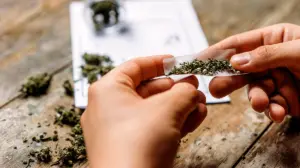 Legalizing pot didn’t kill the black market, it created a marketing department for it