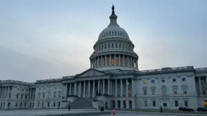 The Hitchhiker’s Guide to what the Senate did and didn’t do overnight