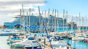 Family vacation nightmare unfolds with child hospitalized after fall on cruise ship