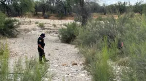 Skeleton unearthed near Nancy Guthrie search site believed to be up to 1,000 years old, expert says