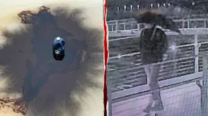 Grenell calls ice rink vandal a 'terrorist' as federal authorities hunt suspect in toxic attack