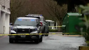 Juror who helped convict man in fatal stabbing accused in knife attack days later: report