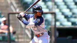 Minor League team rolls out 'Nothing Night' with no music, videos, or public address announcements