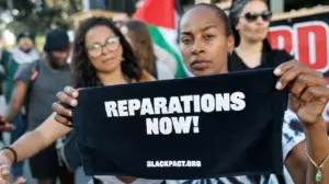 Florida officials warned to avoid reparations-style effort as state gears up to restrict DEI even further