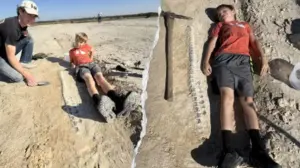 Kansas boy discovers 15-foot marine reptile fossil from 85 million years ago during geology field trip