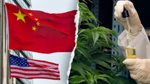 Former acting DHS secretary warns Chinese criminal organizations are infiltrating America's hemp industry