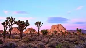 Hiker stumbles on human skull in iconic desert as mystery grows and detectives open homicide probe