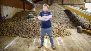 Weight-loss drugs crush food demand as farmers face dumping mountains of potatoes