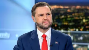 Vance describes his 'childless cat ladies' comment as as 'One of the dumbest things I ever said'