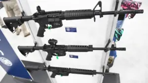 Federal appeals court rules some nonviolent felons can legally own guns