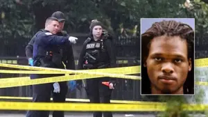 White House gunman had criminal record, history of mental health issues