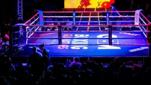 Social media reacts to controversial one-punch knockout in boxing match