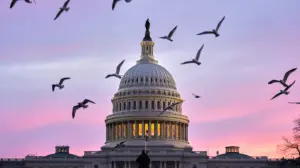MORNING GLORY: The countryside versus the capitol part I
