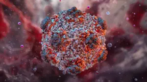 Possible hantavirus case under investigation in upstate New York; no connection to deadly cruise ship outbreak