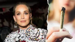 Sharon Stone's terrifying weed withdrawal sparks warning about today's potent marijuana