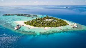 Health alert issued for dengue outbreaks spreading in travel hotspots