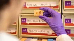 Fetal tissue supplier billed $765 procurement fee per organ, warns records could imply illegal sales: records