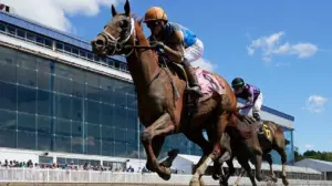 Horse dies after crossing the finish line in his first career race in tragic start to Preakness weekend