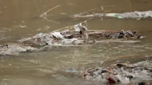 Green rhetoric, polluted water: The Left’s DC sewage failure is a disgrace