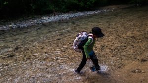 For years, US-approved visas meant for abused children went to adults, criminals and gang members, DHS finds